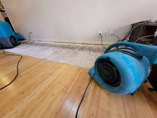 Professional Water Damage Repair technician working in Arkansas, AR